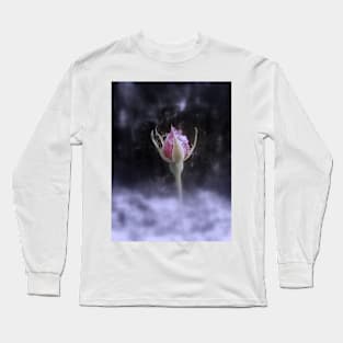 rosebud in the snow 3, tinted Long Sleeve T-Shirt